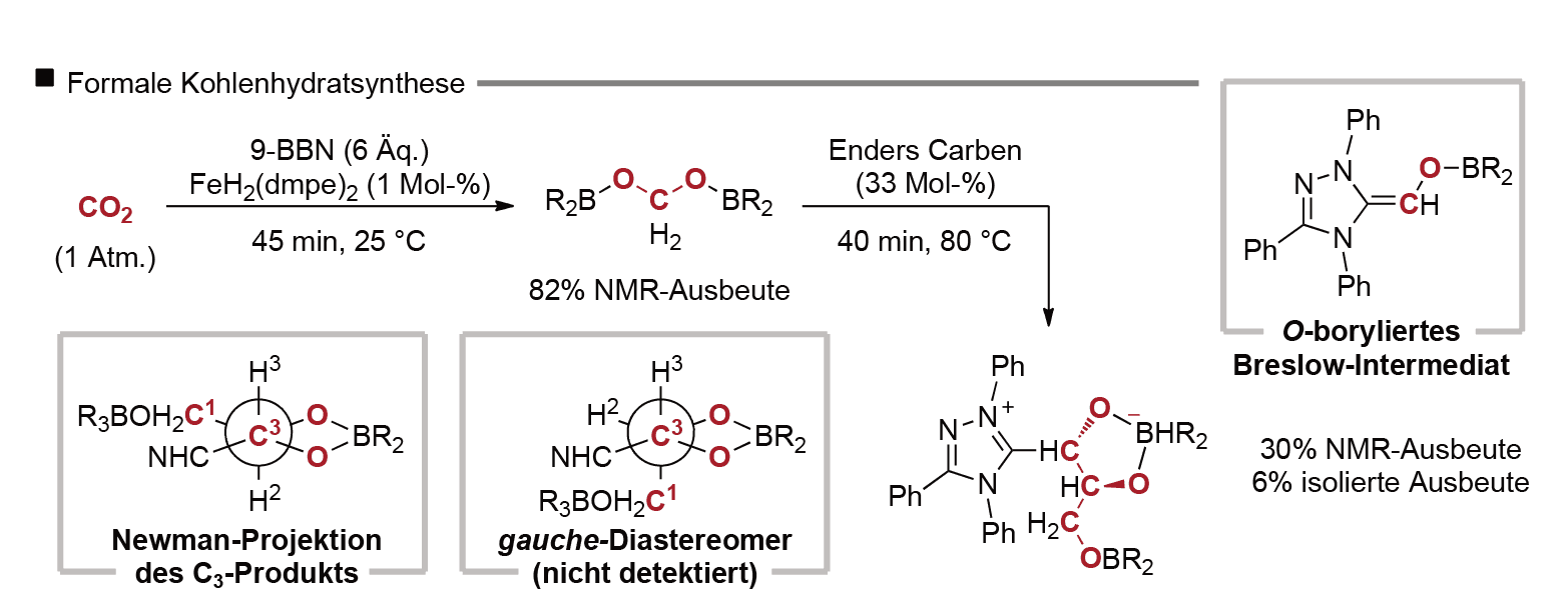 https://media.graphassets.com/6PpdjNPNQ0mRjGdOkfDp