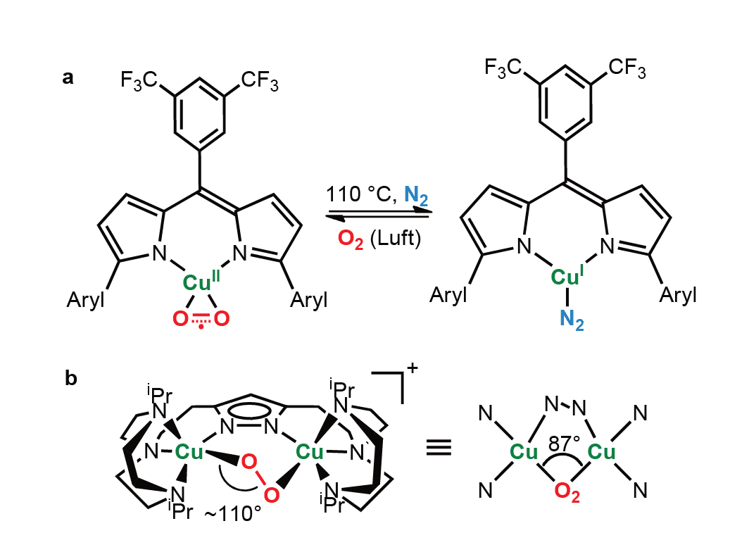 https://media.graphassets.com/CBiPHmusQEeFhfF7dVGk