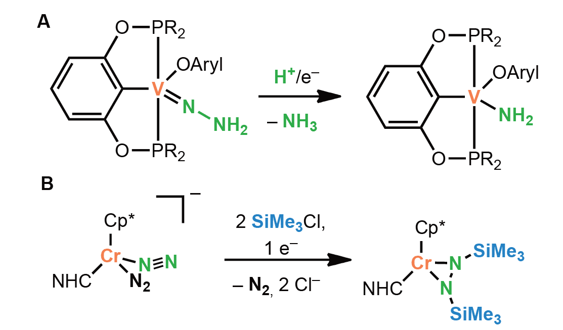 https://media.graphassets.com/R5CVTnwJRGGmB1Kg1pSD