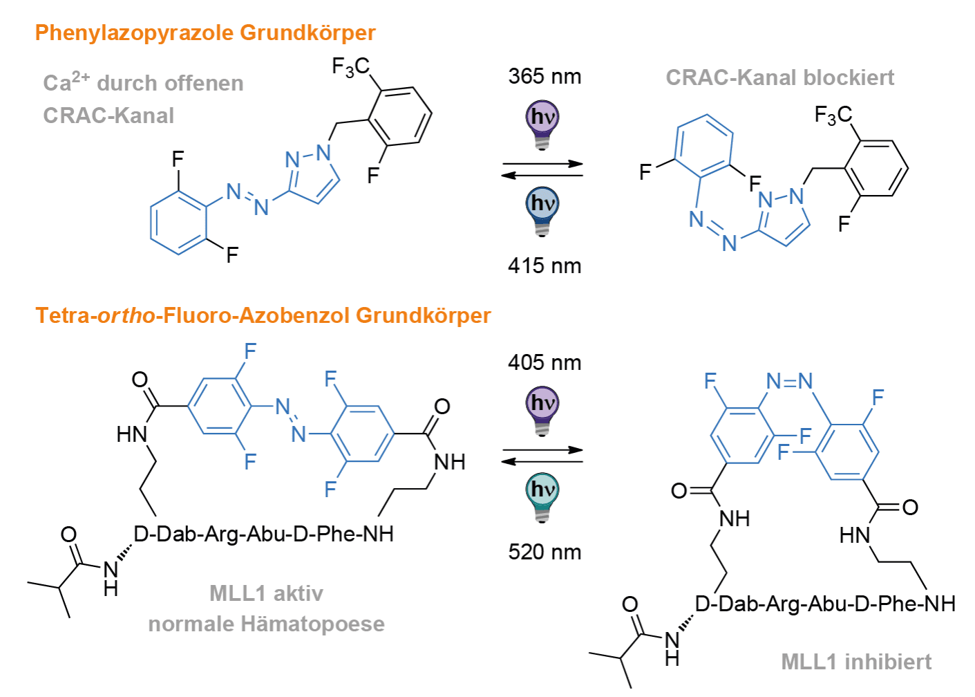 https://media.graphassets.com/cTlYumjnQs2WypClRGlA