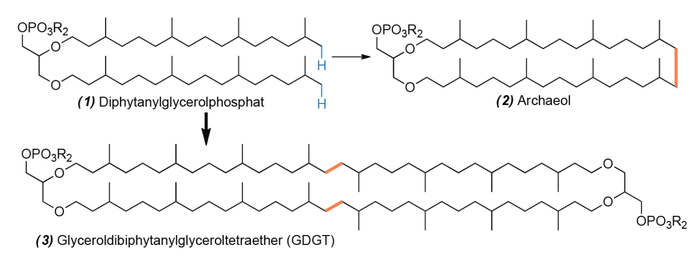 https://media.graphassets.com/dOnpbPxISOGQlVRSZTh7