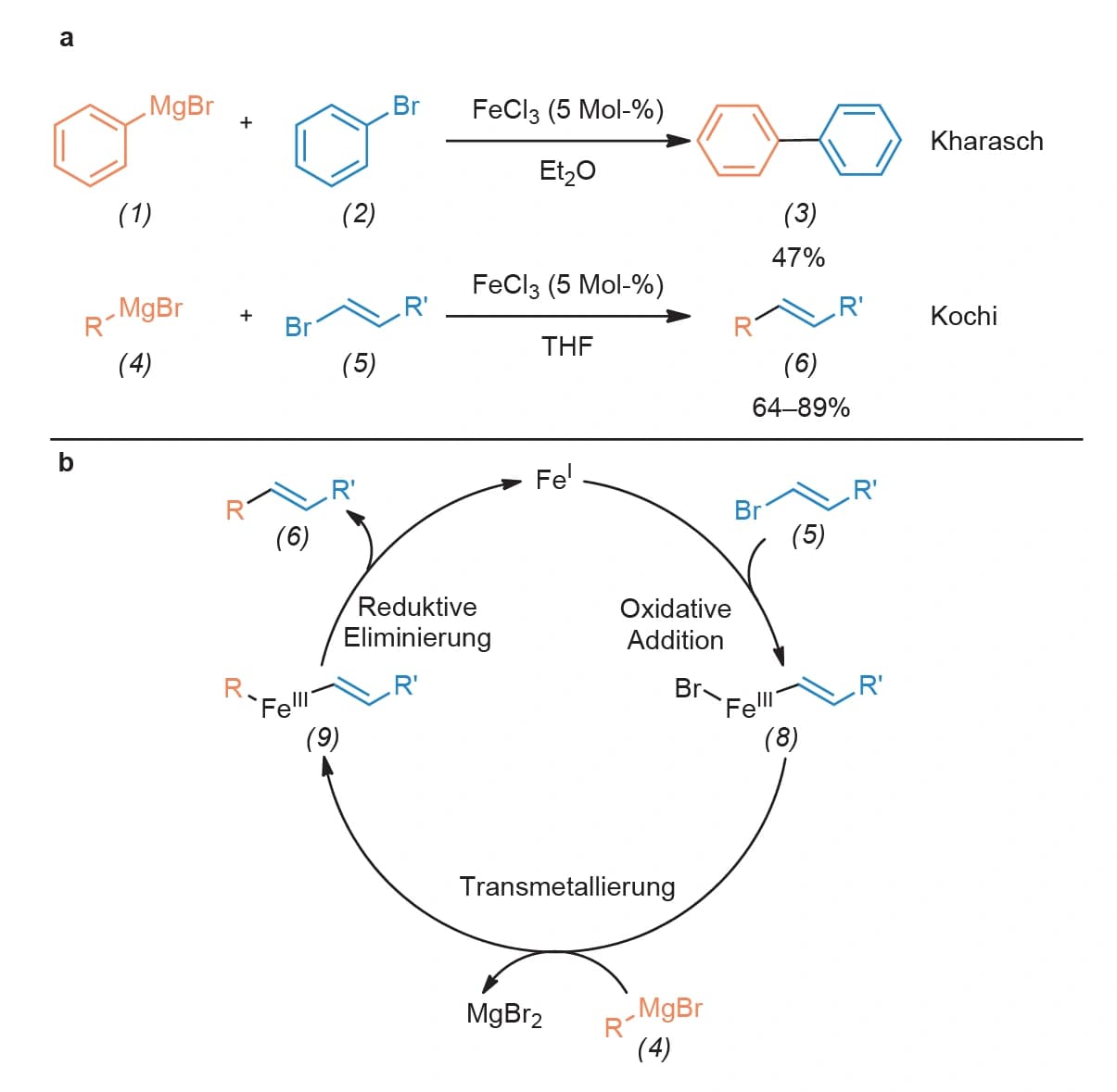 Blickpunkt Synthese: Neues vom alten Eisen ‐ eisenkatalysierte Kreuzkupplungen