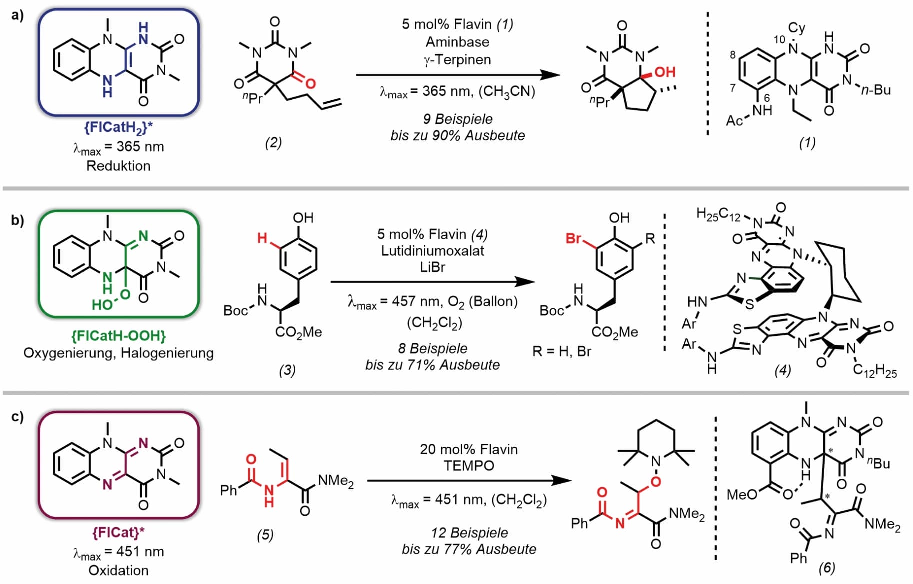 Der Kern der Flavoenzyme