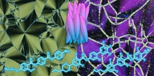 The Emergence of a Polar Nematic Phase: A Chemist's Insight into the Ferroelectric Nematic Phase