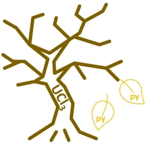 Thermal Elimination of Pyridine from a Uranium Trichloride Precursor