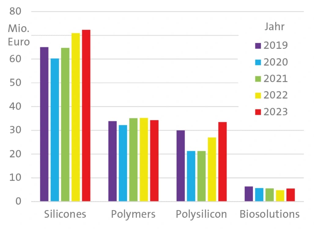 Silikone, Polymere, Biopharmazeutika