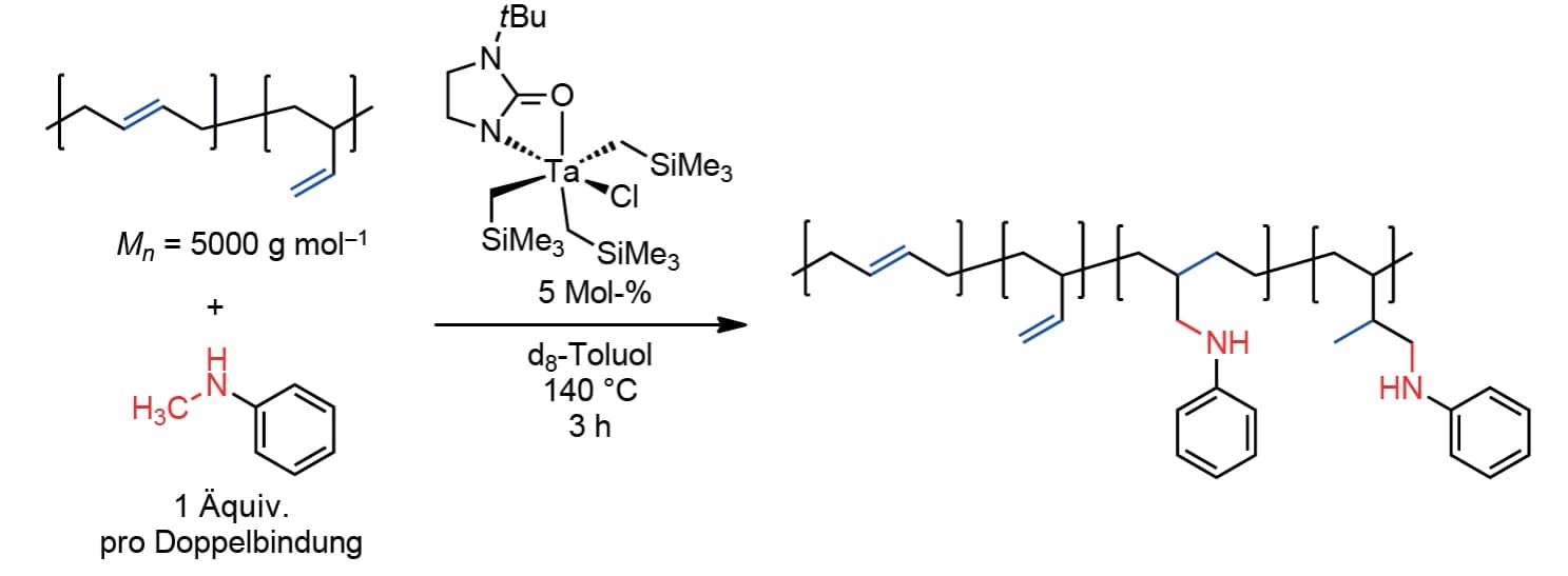 Polybutadien hydroaminomethylieren