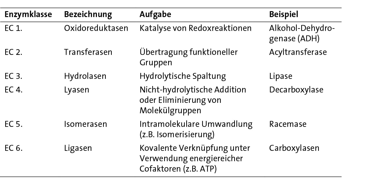 Künstliche Metalloproteine für die Olefinmetathese