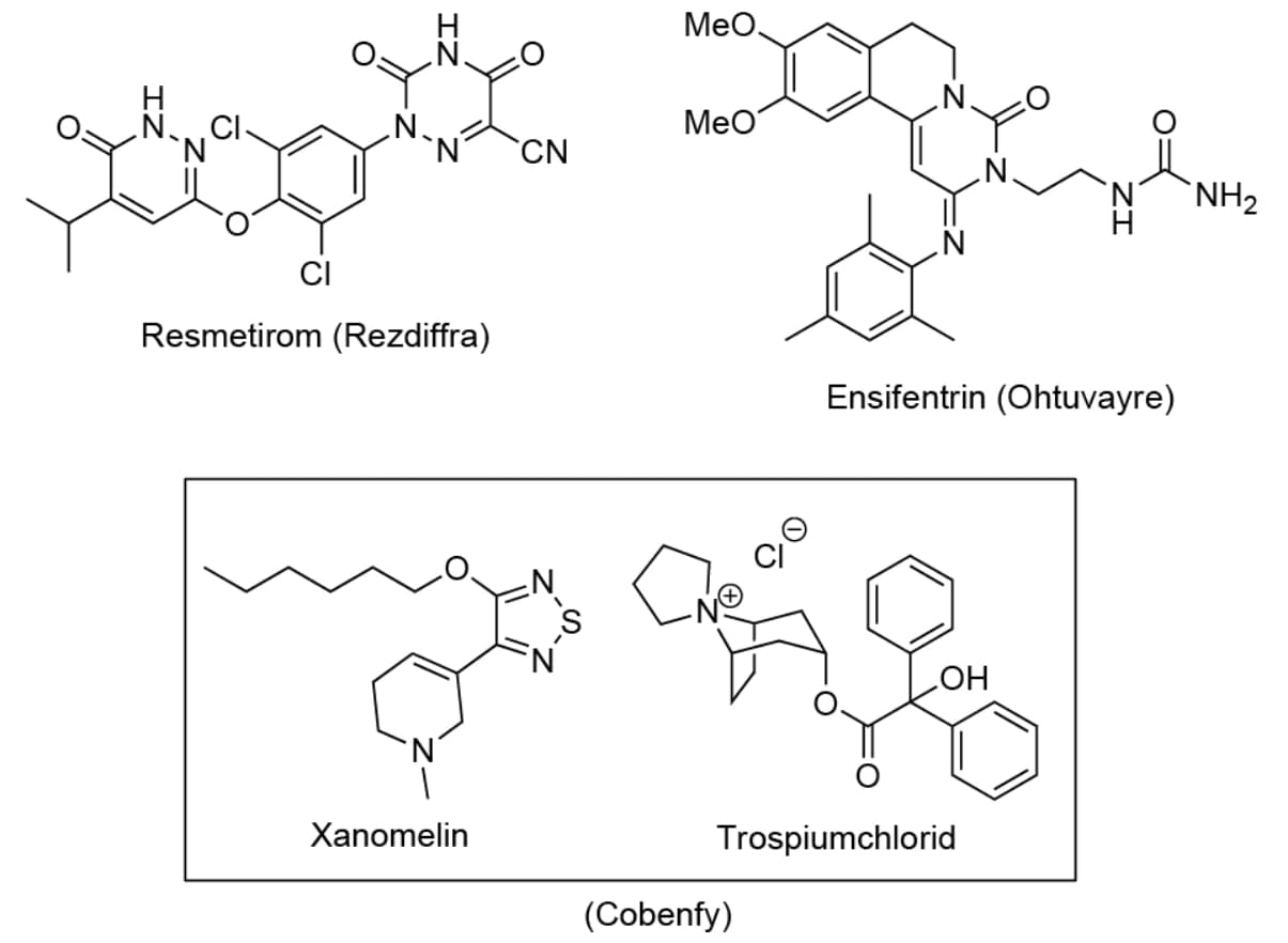 Organische Chemie 2025