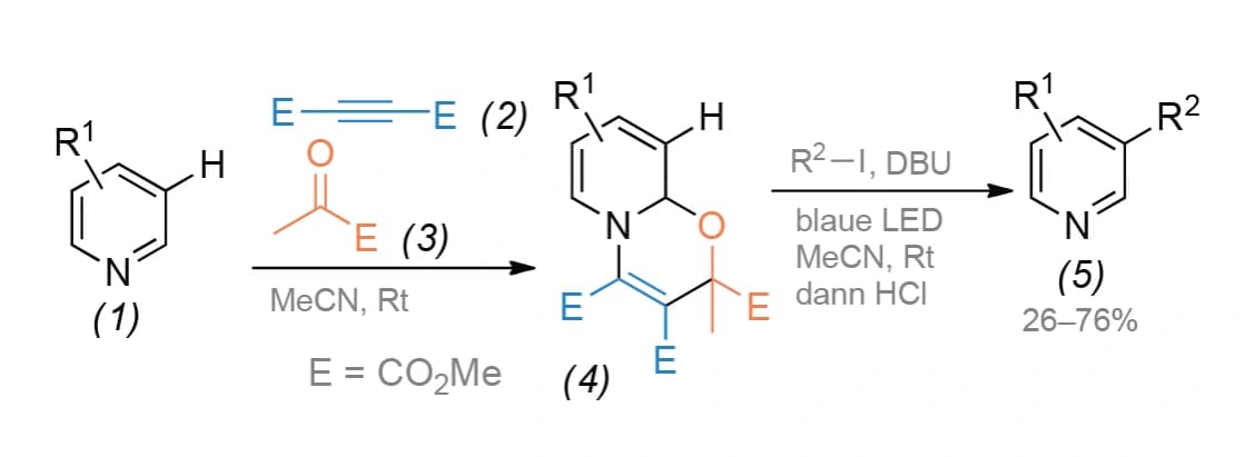 Meta-Funktionalisierungen von Pyridinen