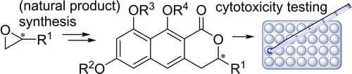 From the Total Synthesis of Semi–Viriditoxin, Semi–Viriditoxic Acid and Dimeric Naphthopyranones to their Biological Activities in Burkitt B Cell Lymphoma