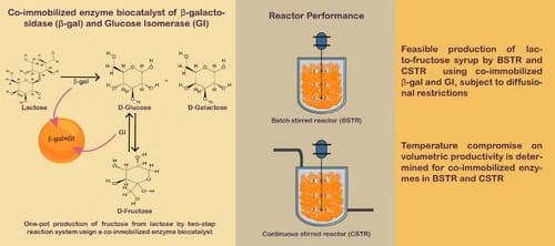 One‐pot Heterogeneous Biocatalysis under Thermal Decay for Fructose Production from Lactose using Co‐Immobilized Enzymes: Modeling and Simulation