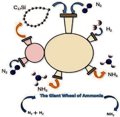 Mechanistic Inquisition on the Reduction of C17Si(NH2)2 to NH3: A DFT Study