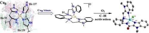 Monocopper model of CuB site of pMMO in N4‐environment oxidizes C−H bonds