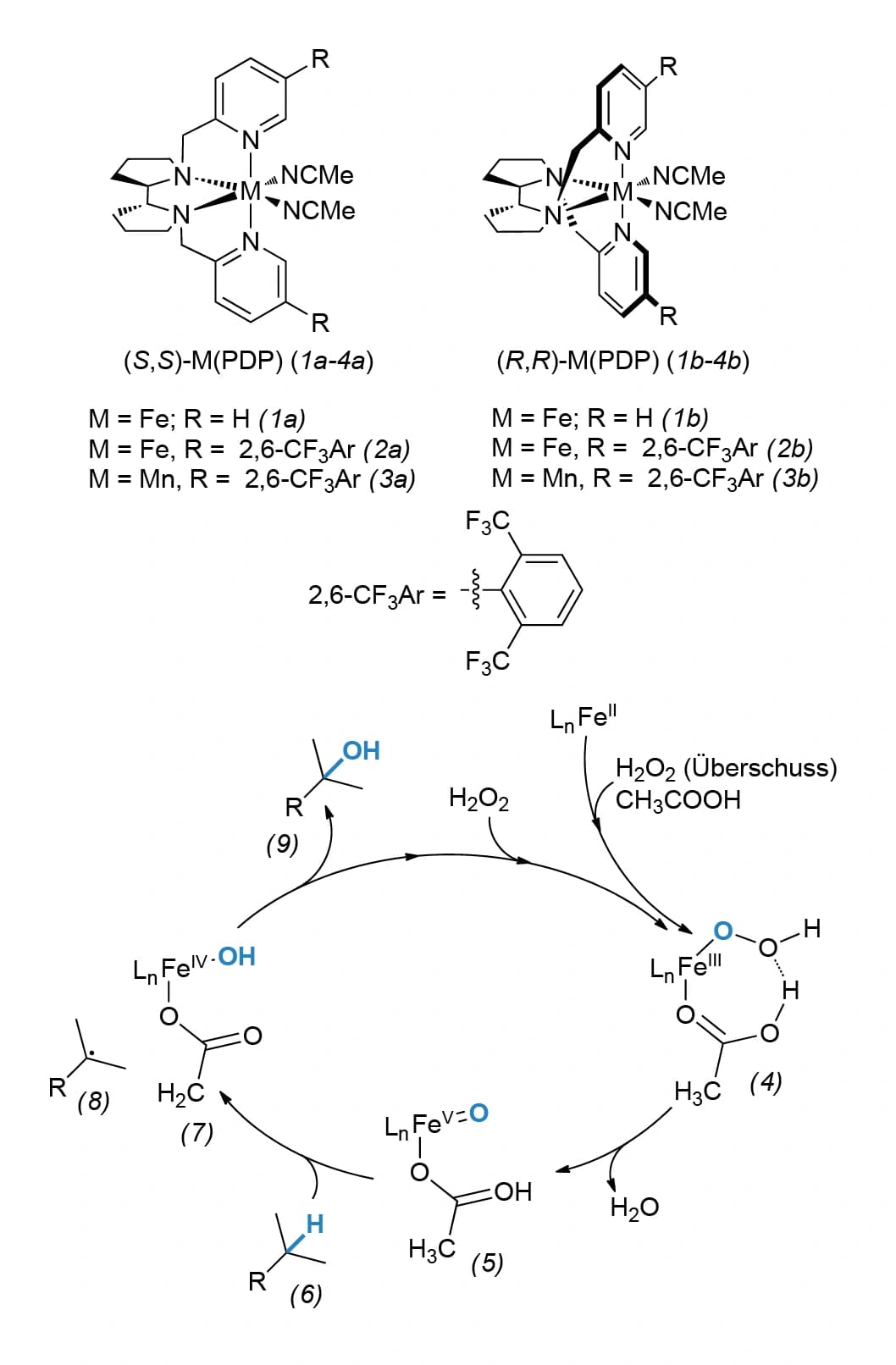 Je später, desto lieber: C(sp3)‐H‐Hydroxylierung