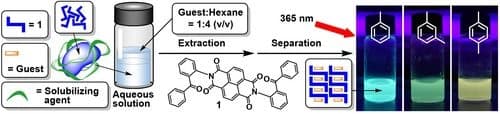 Water Solubilization and Guest Molecule‐Induced Fluorescence Changes of Porous Host Molecules via Complexing with Polysaccharide or Polypeptide