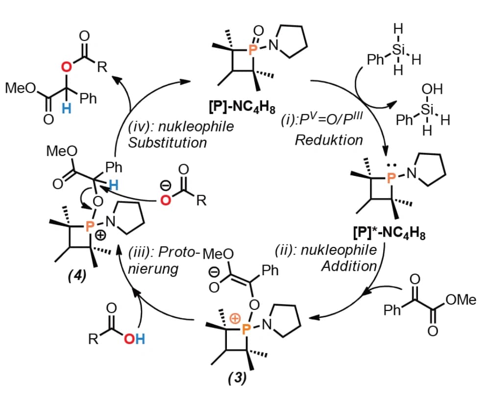 Redoxkatalyse mit Gruppe‐15‐Elementen