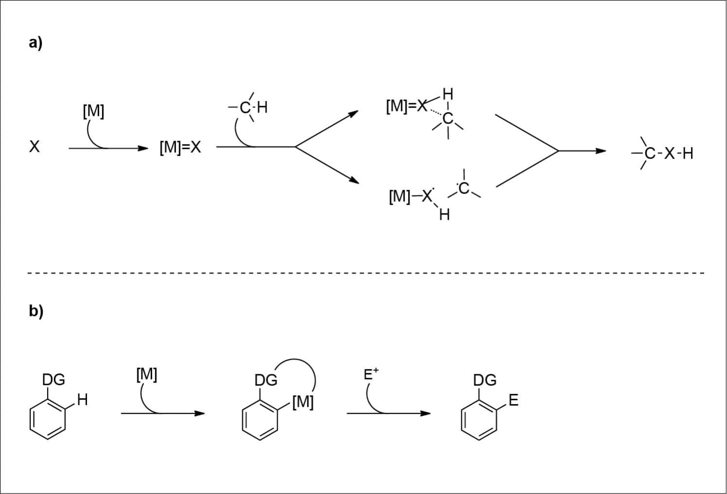 Katalytische C‐H‐Aktivierungen