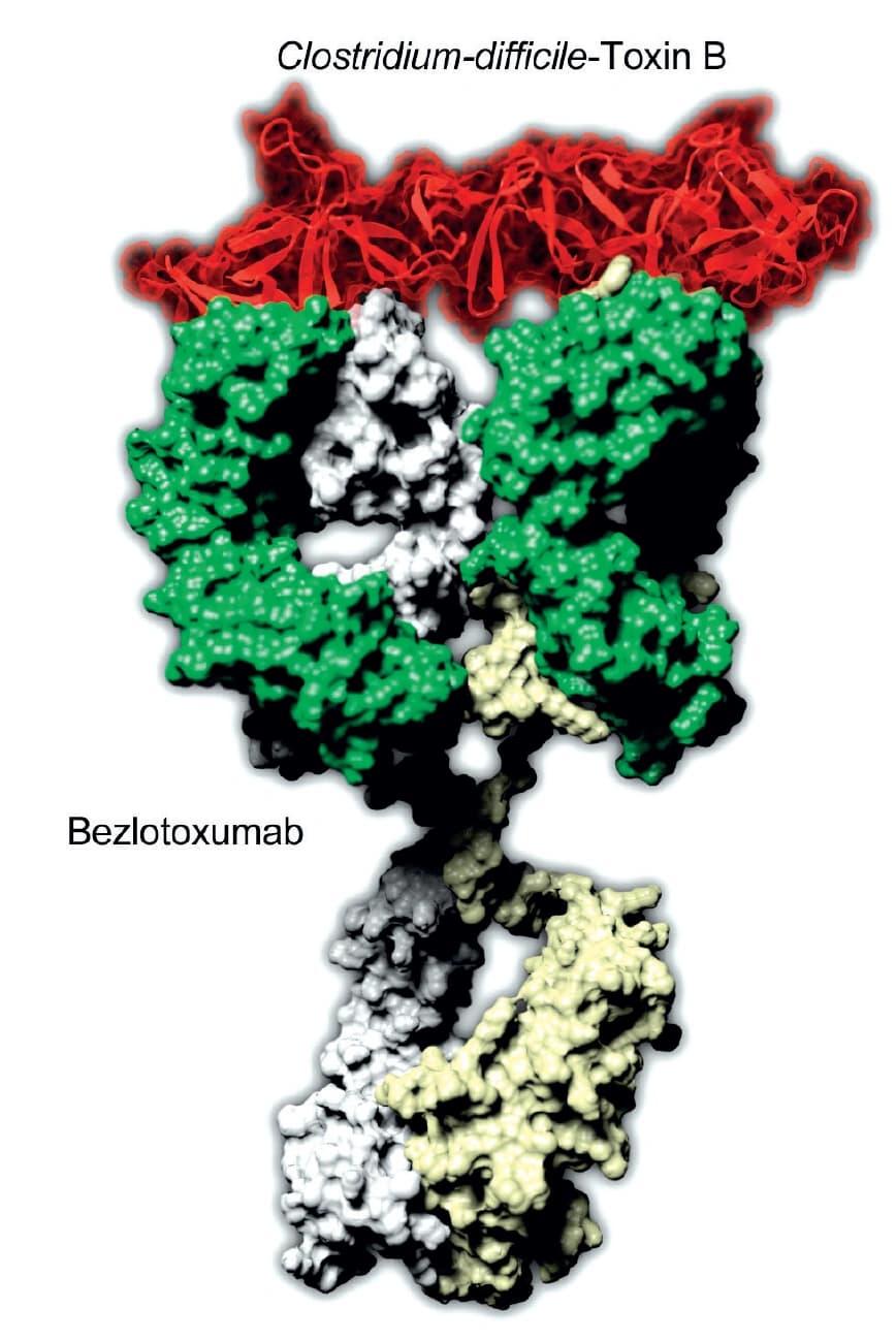 Trendbericht Biochemie 2017: Pathoblocker – Ein neues Konzept gegen bakterielle Infektionen