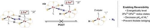 Evaluating Diazene to N2 Interconversion at Iron‐Sulfur Complexes