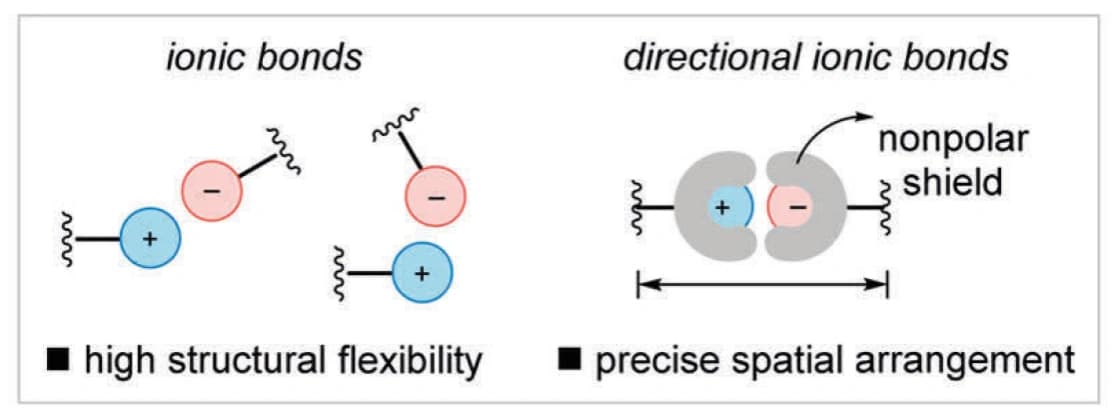Gerichtete ionische Wechselwirkungen