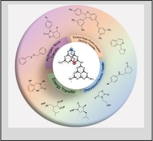 A Guide to Chemical Reactions Design in Carbon Nitride Photocatalysis