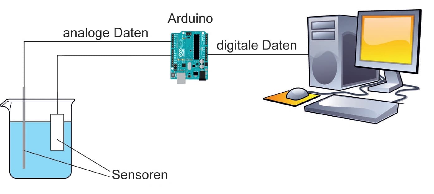 Königliches im Labor