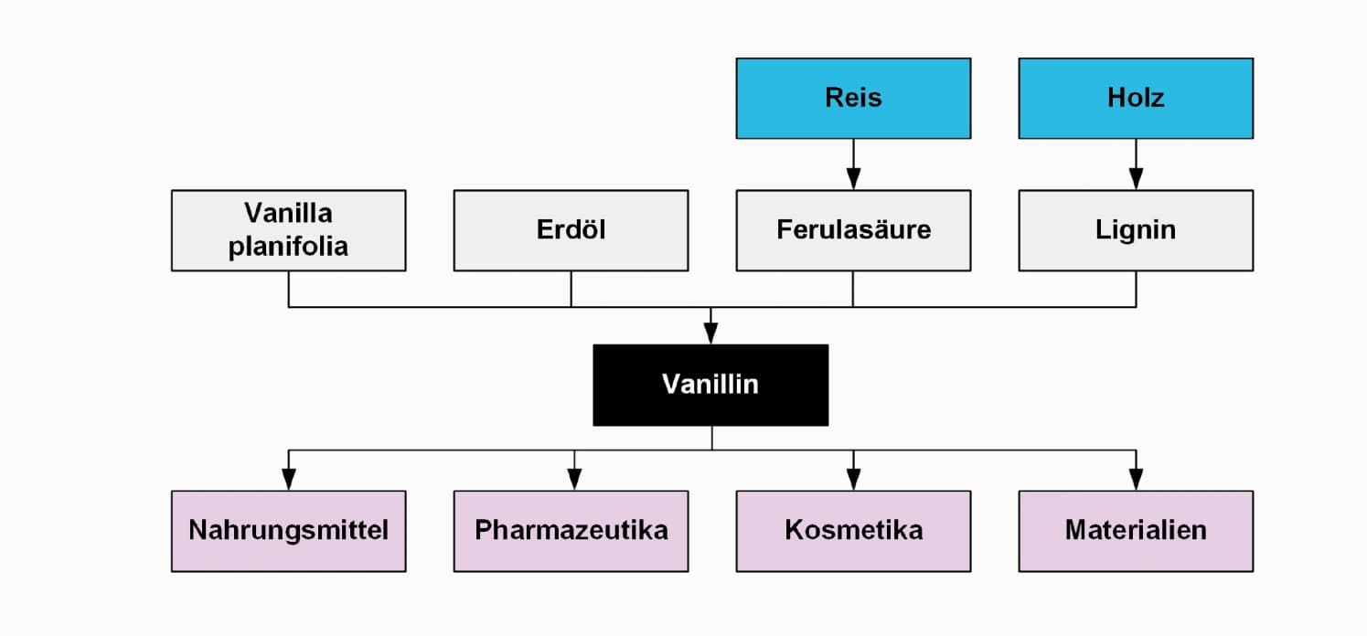 Prozesstechnik: Ein potenzieller Polymerbaustein