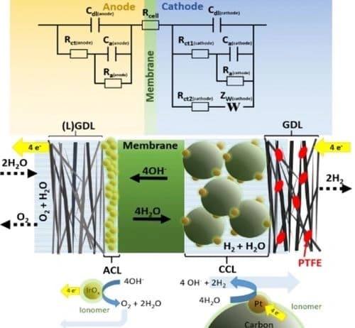 Impedance Response Analysis of Anion Exchange Membrane Electrolyzers for Determination of the Electrochemically Active Catalyst Surface Area