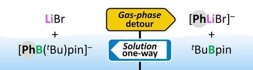 Intramolecular Phenyl Transfer from a Boronate to Lithium in the Gas Phase Reveals Crucial Role of Solvation in Transmetalations