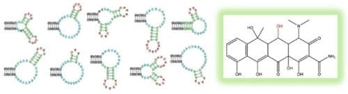 Characterization of the Binding Properties of Ten Aptamers Using the Intrinsic Fluorescence of Oxytetracycline