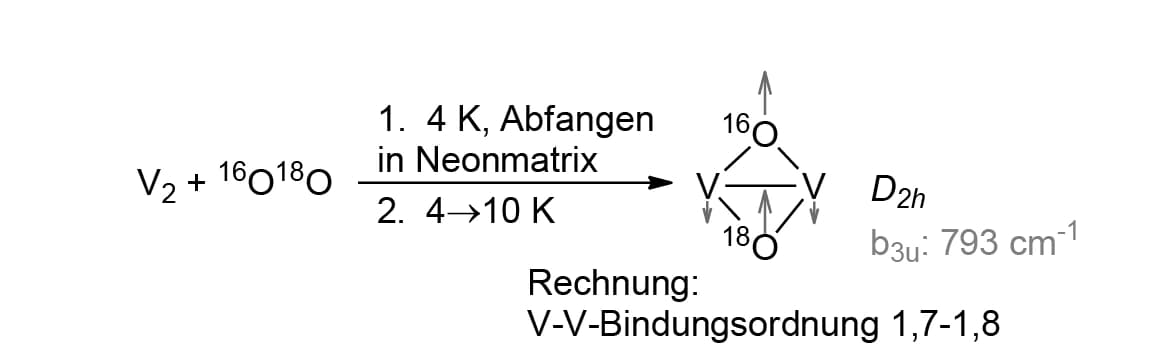 Trendbericht Anorganische Chemie 2017: Koordinationschemie und Bioanorganik