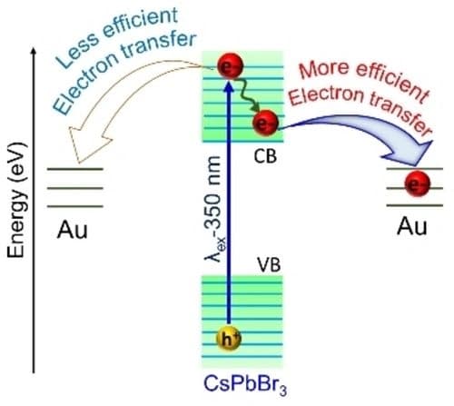 Unveiling the Ultrafast Electron Transfer Dynamics in Epitaxial Dodecahedron CsPbBr3/Au Heterostructure