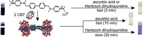 para–Phenylenediamine Dimer as a Redox–Active Guest for Supramolecular Systems