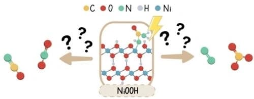 Mechanistic Analysis of Urea Electrooxidation Pathways: Key to Rational Catalyst Design