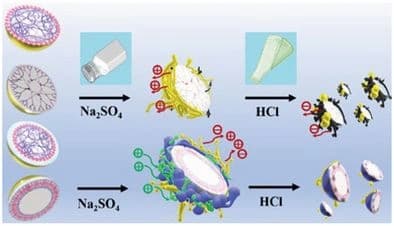 Investigation of physicochemical drivers directing ionic liquid assembly on polymeric nanoparticles