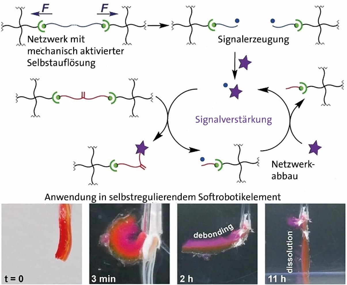 Trendbericht Makromolekulare Chemie 2024