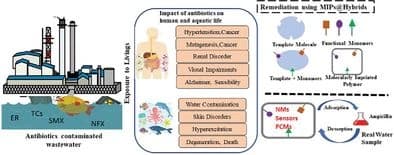 Advanced Hybrid Molecular Imprinted Polymers for Antibiotics Remediation from Wastewater