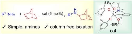 Yttrium‐Catalyzed Intermolecular Hydroamination of Norbornene with Simple Amines