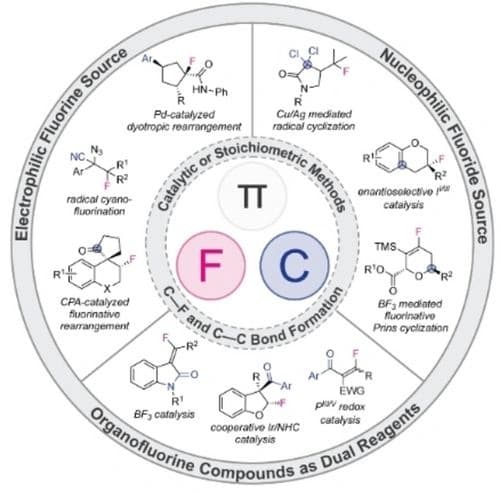 Carbofluorination of π‐Bonds and Related Reactions Involving Tandem C−C/C−F Bond Formation