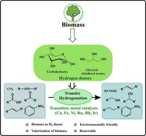 Transition‐Metal‐Catalysed Transfer Hydrogenation Reactions with Glycerol and Carbohydrates as Hydrogen Donors