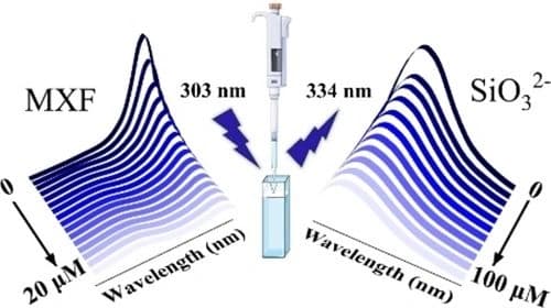 A dual‐function Cd‐based coordination polymer for the detection of moxifloxacin and SiO32− ions