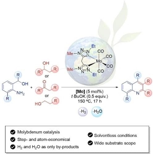 Molybdenum Catalyzed Acceptorless Dehydrogenation of Alcohols for the Synthesis of Quinolines