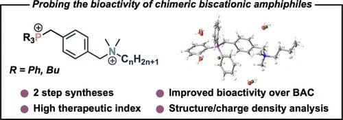 Chimeric Amphiphilic Disinfectants: Quaternary Ammonium/Quaternary Phosphonium Hybrid Structures