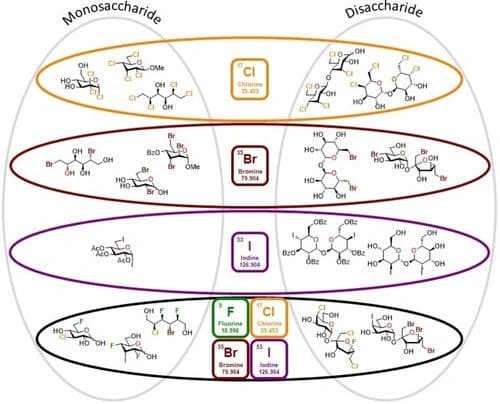 Polyhalogenated Carbohydrates: Synthesis and Applications of Sugar Halides from Fluorine to Iodine