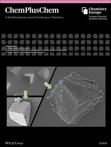 Cover Feature: Direct Electrochemical Synthesis of Metal‐Organic Frameworks: Cu3(BTC)2 and Cu(TCPP) on Copper Thin films and Copper‐Based Microstructures (ChemPlusChem 3/2024)