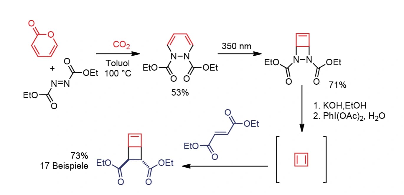 Cyclobutadien ohne Metalle herstellen