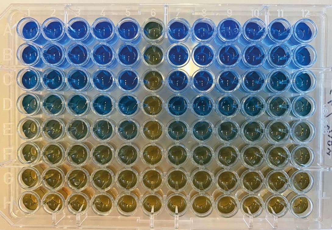 AG „Biochemie“