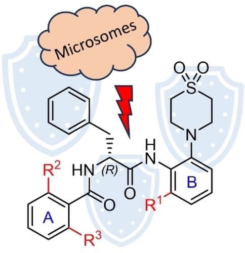 Synthesis and in vitro Metabolic Stability of Sterically Shielded Antimycobacterial Phenylalanine Amides