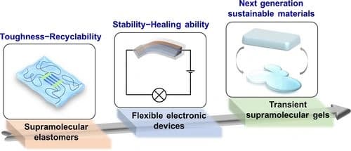 Sustainable Supramolecular Polymers